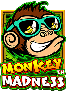 โหล xoufabet 982: ทดลองเล่นสนุก เดิมพันง่าย